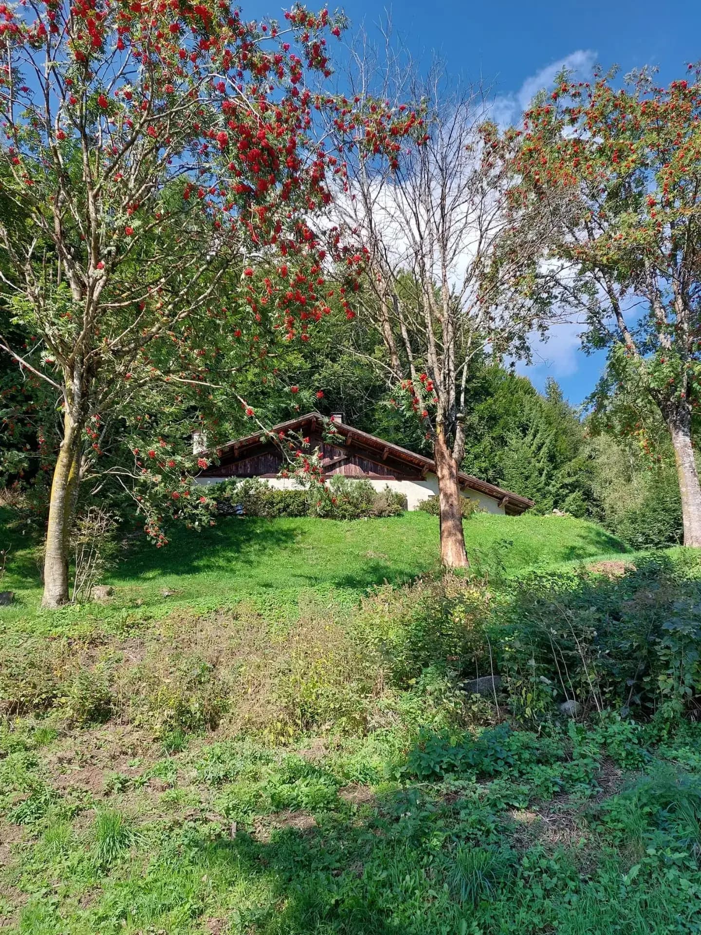 VENDESI BAITA – VILLA A SELLA GIUDICARIE